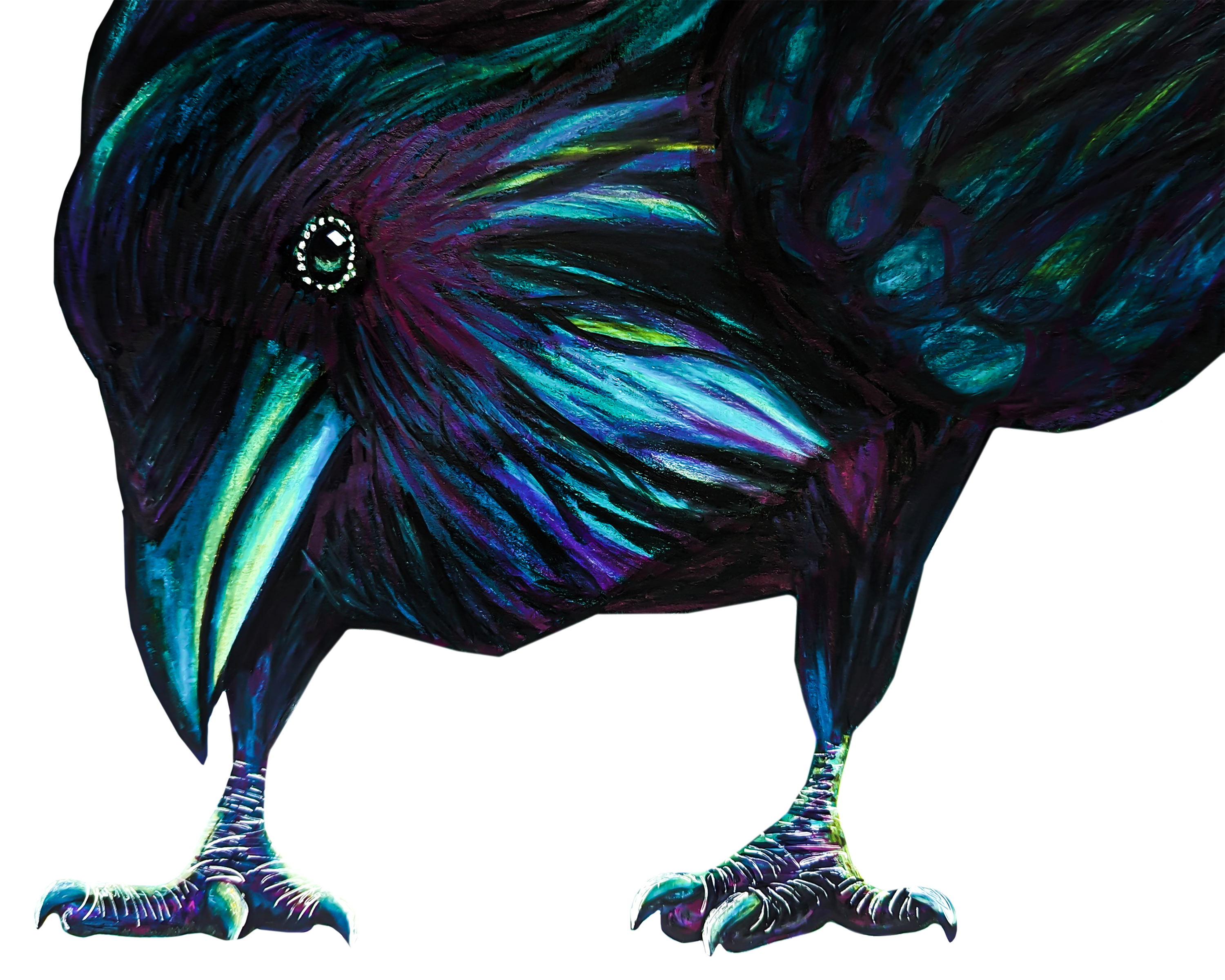 An illustration of a Raven