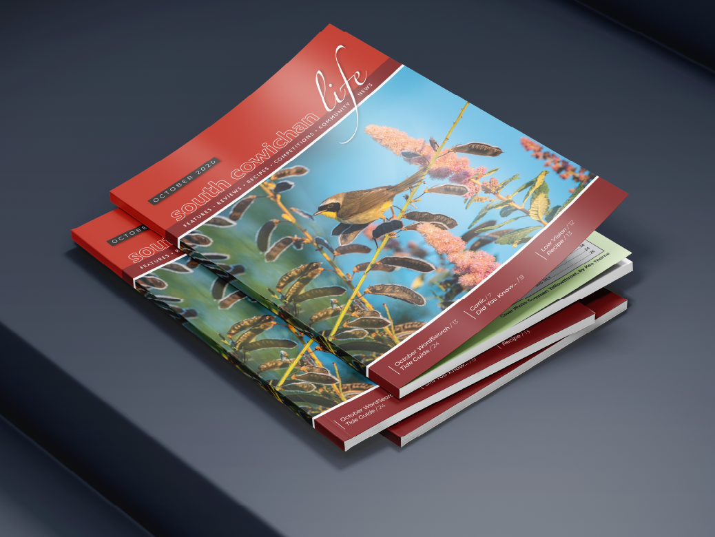 Publication/ Document Design